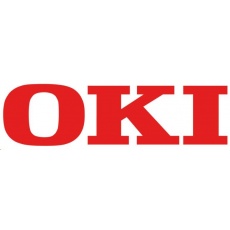 Oki Rozšiřující paměť 256MB pro C5700/C5900/C830/C8800/C9650/5550 MFP/C5750/C5950/C3600/C710/MC560/C910/C821