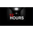 12 HOURS (PC) klíč Steam