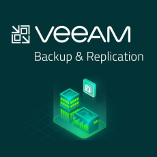 Veeam Backup & Replication Enterprise Plus  per VM  (1VM/1M)