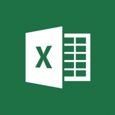 Excel Mac SA OLP NL GOVT Excel Mac SA OLP NL GOVT