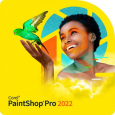 PaintShop Pro 2022 ML - Windows EN/DE/FR/NL/IT/ES
