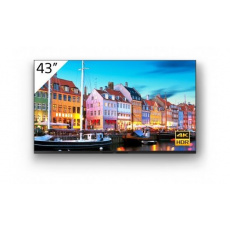SONY 4K 43" Android 10 Professional BRAVIA SONY 4K 43" Android 10 Professional BRAVIA